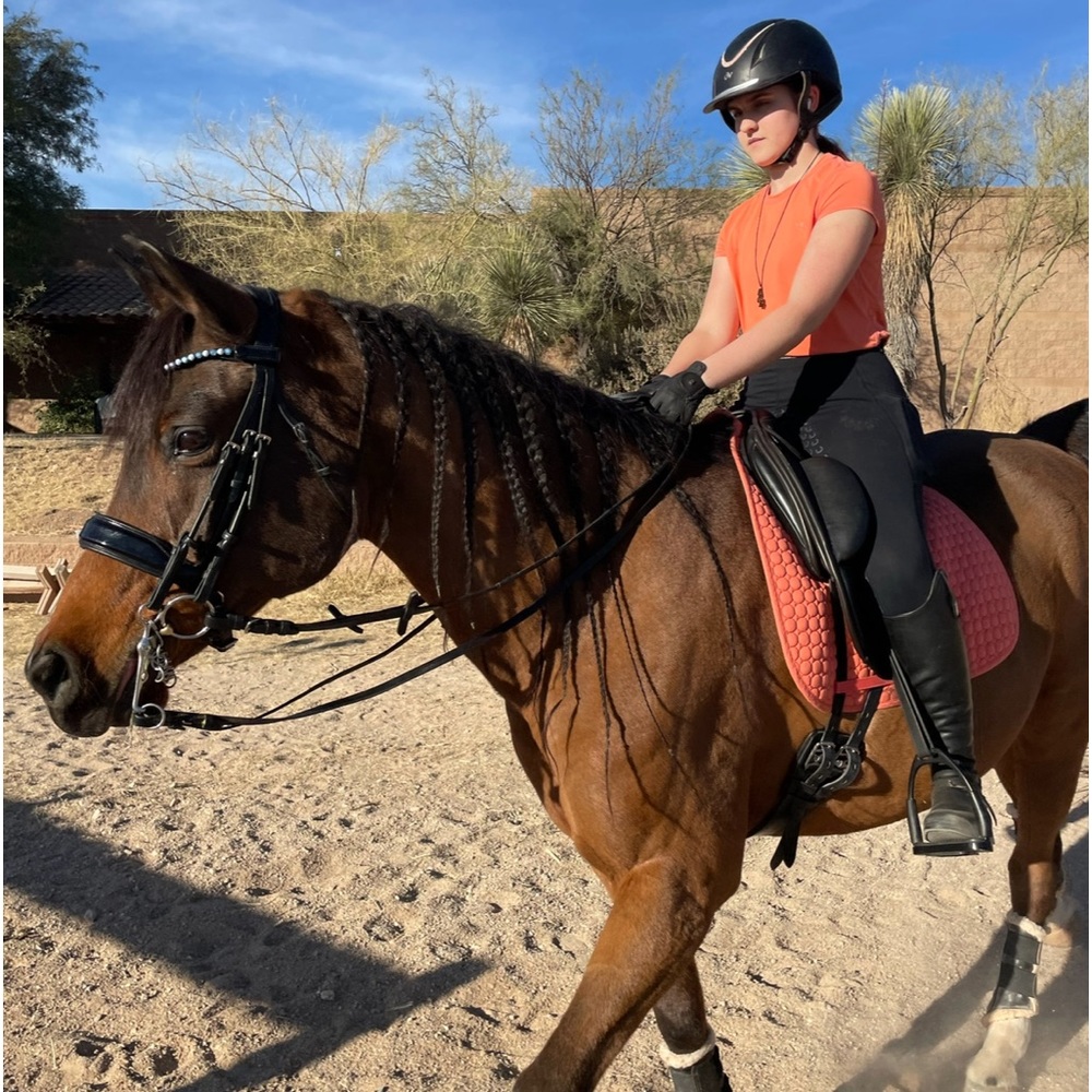 Equestrian shirt & matching dressage saddlepad